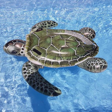 Martinique Hostel แซ็งต์-ลูซ ภายนอก รูปภาพ