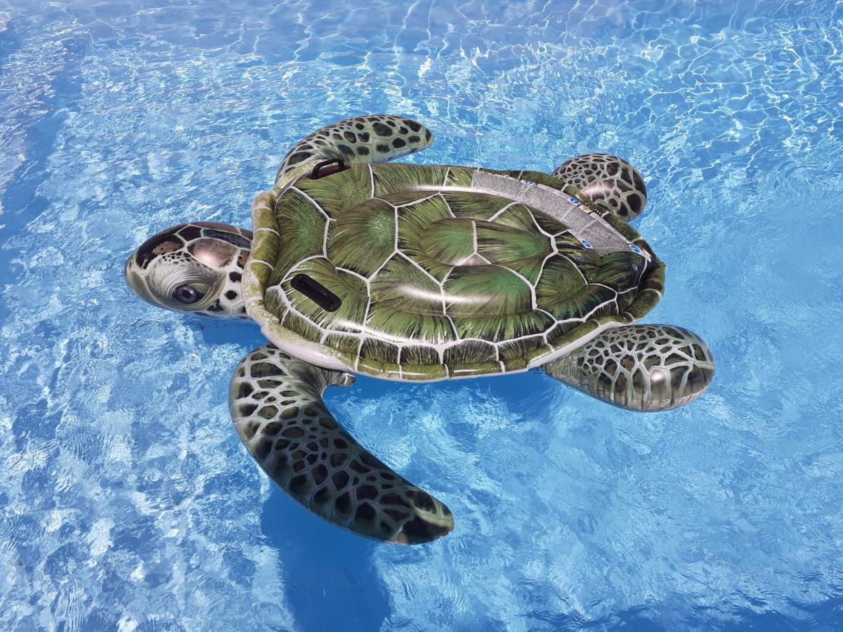 Martinique Hostel แซ็งต์-ลูซ ภายนอก รูปภาพ