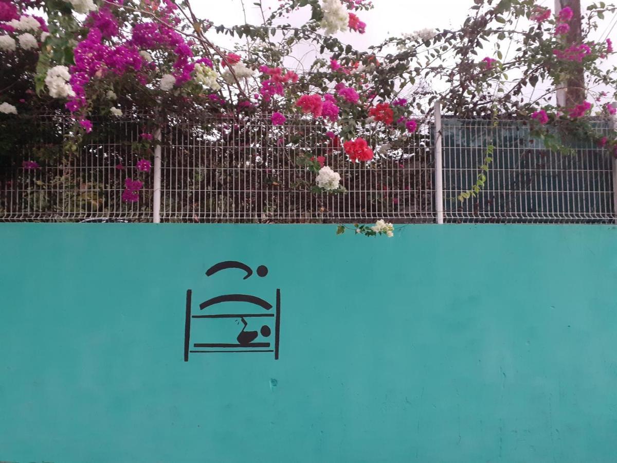 Martinique Hostel แซ็งต์-ลูซ ภายนอก รูปภาพ