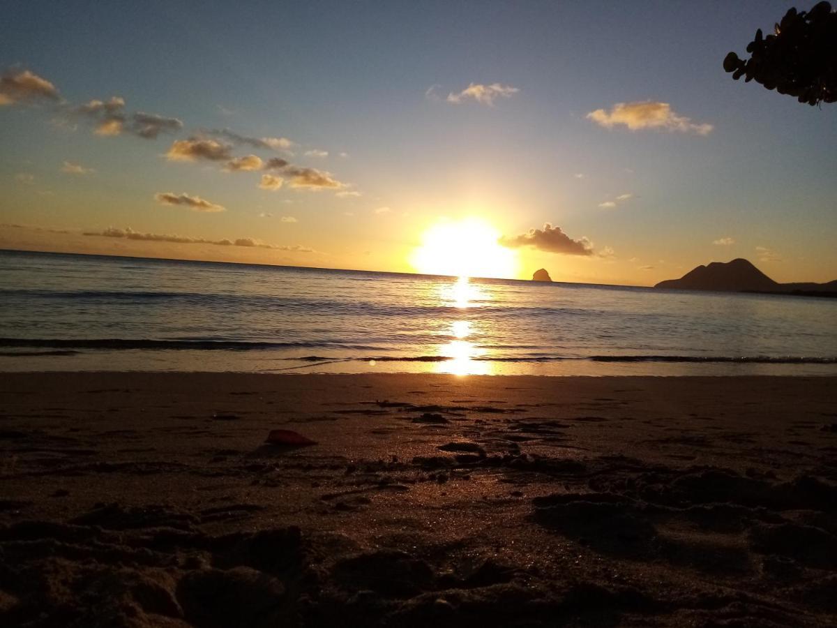 Martinique Hostel แซ็งต์-ลูซ ภายนอก รูปภาพ